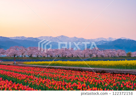 Asahi Funakawa Spring Quartet 122372158