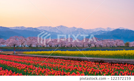 Asahi Funakawa Spring Quartet 122372159