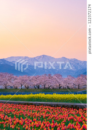 朝日船川春天四重奏 122372174