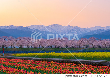 Asahi Funakawa Spring Quartet Asahi Funakawa Spring Quartet 122372176