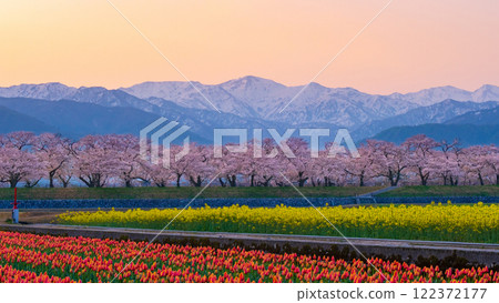 朝日船川春天四重奏 122372177