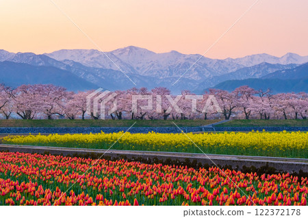 Asahi Funakawa Spring Quartet Asahi Funakawa Spring Quartet 122372178