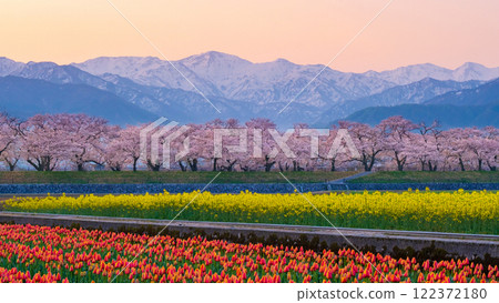 Asahi Funakawa Spring Quartet Asahi Funakawa Spring Quartet 122372180