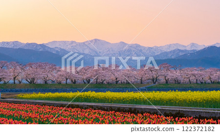 Asahi Funakawa Spring Quartet 122372182