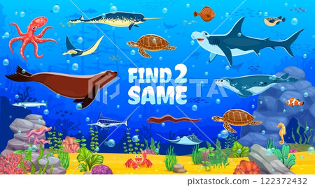 Kids game worksheet, find two same sea animals at underwater landscape. Details search riddle, same picture finding game worksheet with seal, shark, turtle and octopus, narwhal, stingray ocean animals 122372432