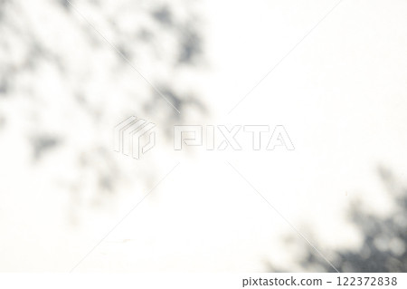 Soft shadows of branches and leaves reflected on a white wall a-1 Soft shadows of branches and leaves reflected on a white wall a-1 122372838