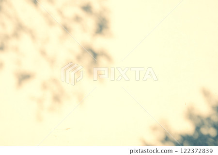 Soft shadows of the branches and leaves reflected on the white wall a-2 Warm colors Soft shadows of the branches and leaves reflected on the white wall a-2 Warm colors 122372839