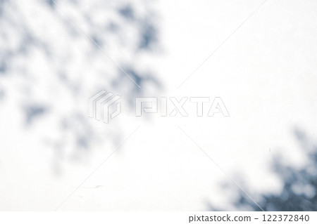 Soft shadows of the branches and leaves reflected on the white wall a-3 Cool colors 122372840