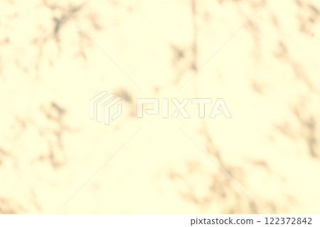 白牆上反射的枝葉柔和陰影 b-2 暖色 122372842