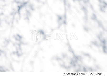 Soft shadows of the branches and leaves reflected on the white wall b-3 Cool colors 122372843