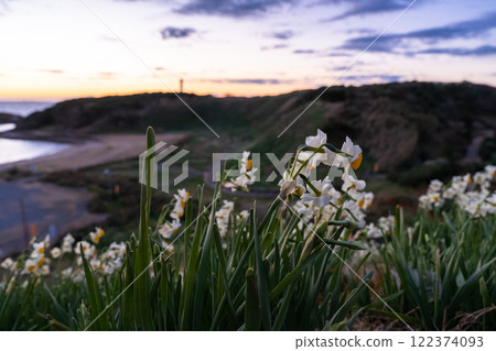 <Shizuoka Prefecture> Dawn at Tsumekizaki, Izu Peninsula 122374093