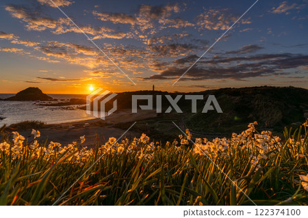 <Shizuoka Prefecture> Dawn at Tsumekizaki, Izu Peninsula 122374100