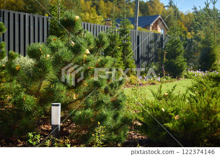 A beautifully landscaped garden with elegant conifer trees in a tranquil setting A beautifully landscaped garden with elegant conifer trees in a tranquil setting 122374146