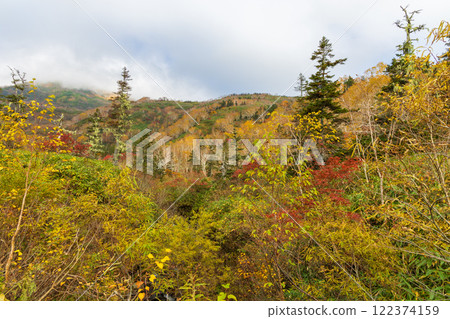 長野縣小谷村的秋天，櫂池高原的秋葉 122374159