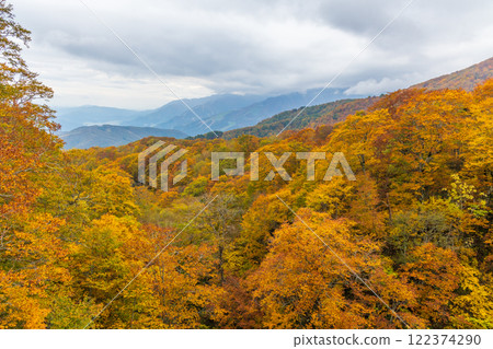 Autumn in Otari Village, Nagano Prefecture - Autumn leaves at Tsugaike Highland - View from the gondola lift 122374290