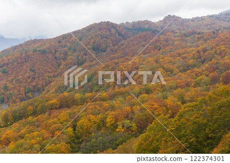 Autumn in Otari Village, Nagano Prefecture - Autumn leaves at Tsugaike Highland - View from the gondola lift 122374301