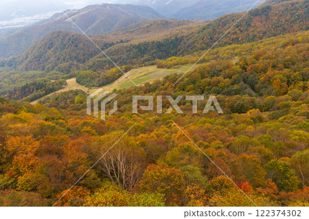 Autumn in Otari Village, Nagano Prefecture - Autumn leaves at Tsugaike Highland - View from the gondola lift Autumn in Otari Village, Nagano Prefecture - Autumn leaves at Tsugaike Highland - View from the gondola lift 122374302