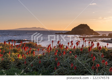 <Shizuoka Prefecture> Dawn at Tsumekizaki, Izu Peninsula 122374578