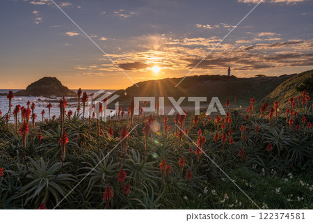 <Shizuoka Prefecture> Dawn at Tsumekizaki, Izu Peninsula 122374581