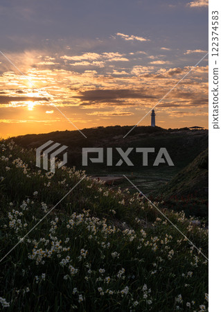 [靜岡縣]伊豆半島築木崎的黎明 122374583