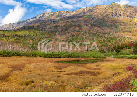 Autumn in Otari Village, Nagano Prefecture - Autumn leaves at Tsugaike Highland - Tsugaike Nature Park 122374716