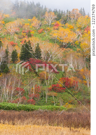 長野縣小谷村的秋天，櫂池高原紅葉，櫂池自然公園 122374769