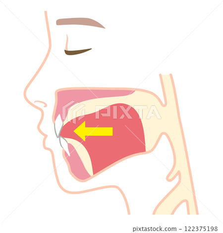 舌頭放低的位置 122375198