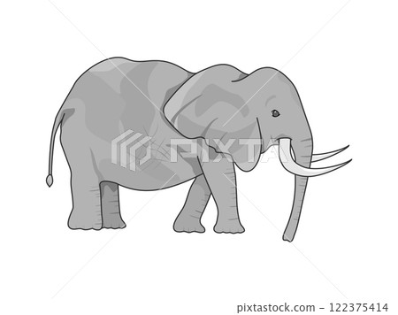 非洲五大野生動物:長牙象 非洲五大野生動物:長牙象 122375414