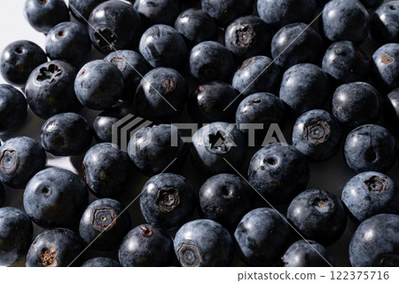 藍莓起來 藍莓起來 122375716