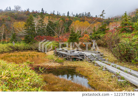 長野縣小谷村的秋天，櫂池高原紅葉，櫂池自然公園 122375934