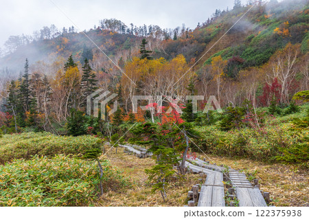 Autumn in Otari Village, Nagano Prefecture - Autumn leaves at Tsugaike Highland - Tsugaike Nature Park Autumn in Otari Village, Nagano Prefecture - Autumn leaves at Tsugaike Highland - Tsugaike Nature Park 122375938
