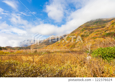 長野縣小谷村的秋天，櫂池高原紅葉，櫂池自然公園 122376024
