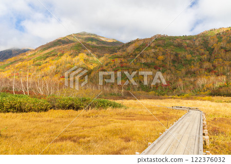 長野縣小谷村的秋天，櫂池高原紅葉，櫂池自然公園 122376032