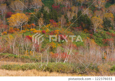 Autumn in Otari Village, Nagano Prefecture - Autumn leaves at Tsugaike Highland - Tsugaike Nature Park Autumn in Otari Village, Nagano Prefecture - Autumn leaves at Tsugaike Highland - Tsugaike Nature Park 122376033