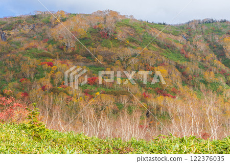 Autumn in Otari Village, Nagano Prefecture - Autumn leaves at Tsugaike Highland - Tsugaike Nature Park 122376035