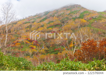 Autumn in Otari Village, Nagano Prefecture - Autumn leaves at Tsugaike Highland - Tsugaike Nature Park 122376044