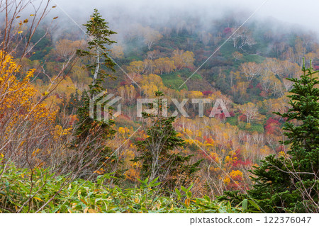 Autumn in Otari Village, Nagano Prefecture - Autumn leaves at Tsugaike Highland - Tsugaike Nature Park 122376047