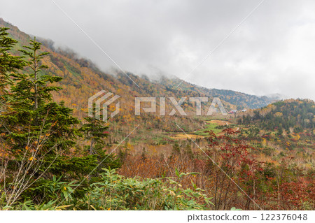 長野縣小谷村的秋天，櫂池高原紅葉，櫂池自然公園 122376048