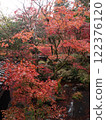 Niigata Autumn leaves Nakano residence Senkeien 122376120
