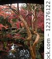 Niigata Autumn leaves Nakano residence Senkeien 122376122
