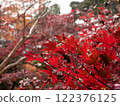 Niigata Autumn leaves Nakano residence Senkeien 122376125