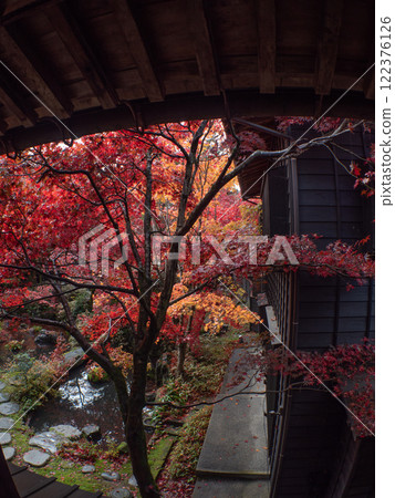 Niigata Autumn leaves Nakano residence Senkeien 122376126