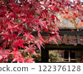 Niigata Autumn leaves Nakano residence Senkeien 122376128