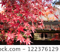 Niigata Autumn leaves Nakano residence Senkeien 122376129