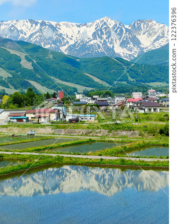 Rice fields reflecting the Hakuba Sanzan mountains 122376396