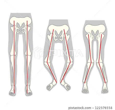 Foot skeleton vector 122376558