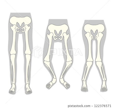 足部骨骼 足部骨骼 122376571