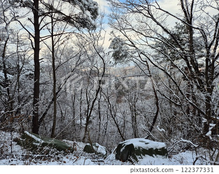 white snow 122377331