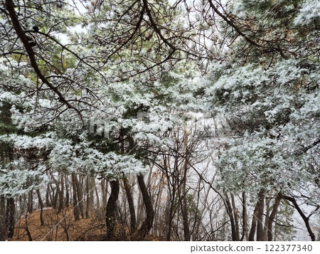 white snow 122377340