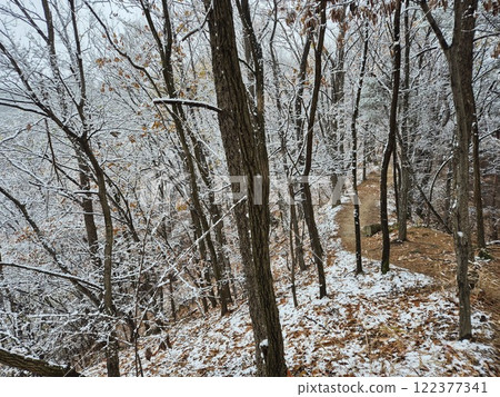 white snow 122377341